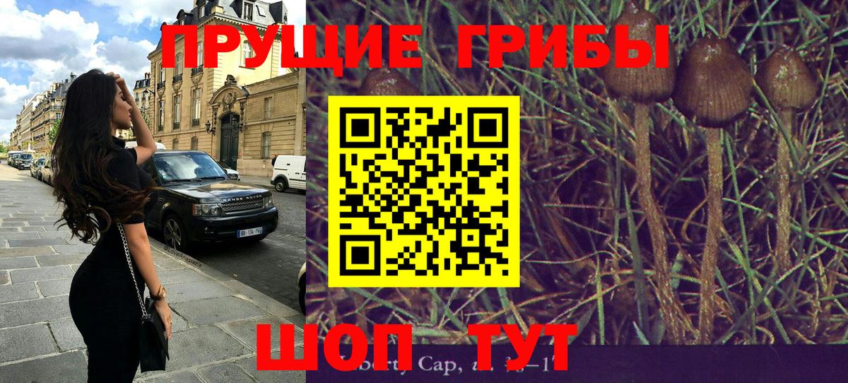 Можга  Галлюциногенные грибы GOLDEN TEACHER  Псилоцибиновые грибы Psilocybe  где можно купить наркотик  Вход с VPN 